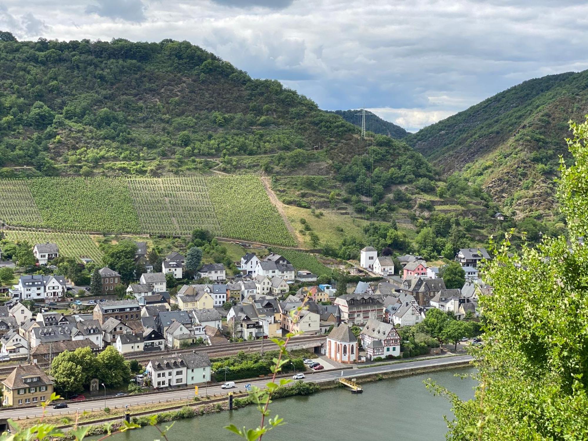 Mike'S Mosel Lodge Treis-Karden Exterior photo